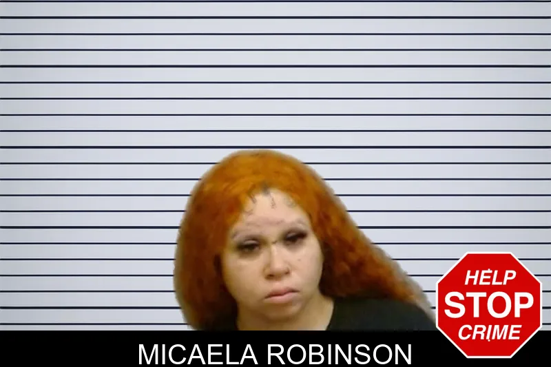 Micaela Robinson mugshot