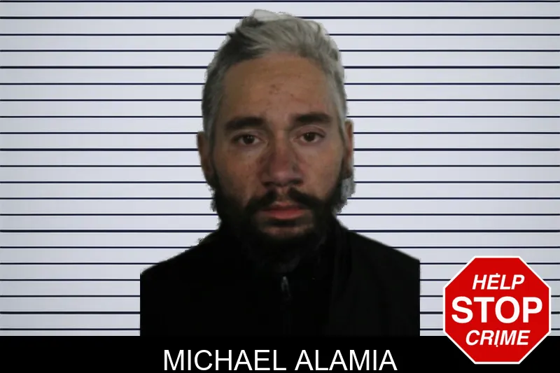 Michael Alamia mugshot