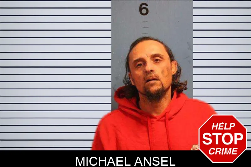 Michael Ansel mugshot – Monroe County , Georgia Michael Ansel mugshot