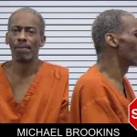 Michael Brookins mugshot