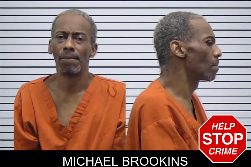 Michael Brookins mugshot