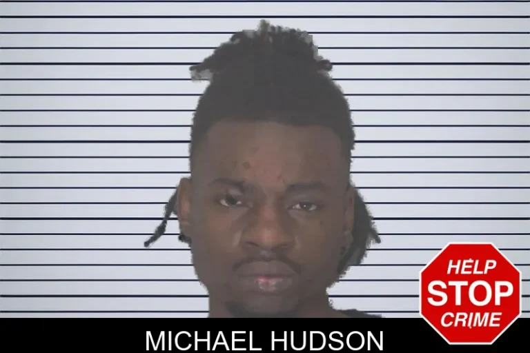 Michael Hudson