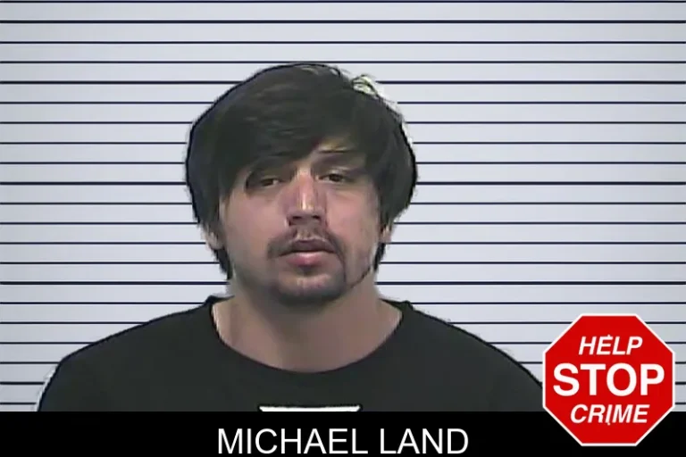 Michael Land