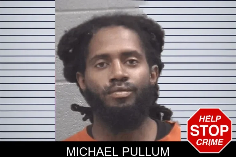 Michael Pullum
