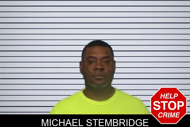 Michael Stembridge mugshot