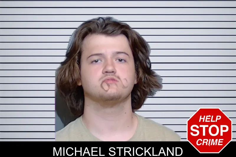 Michael Strickland mugshot – Glynn County , Georgia Michael Strickland mugshot