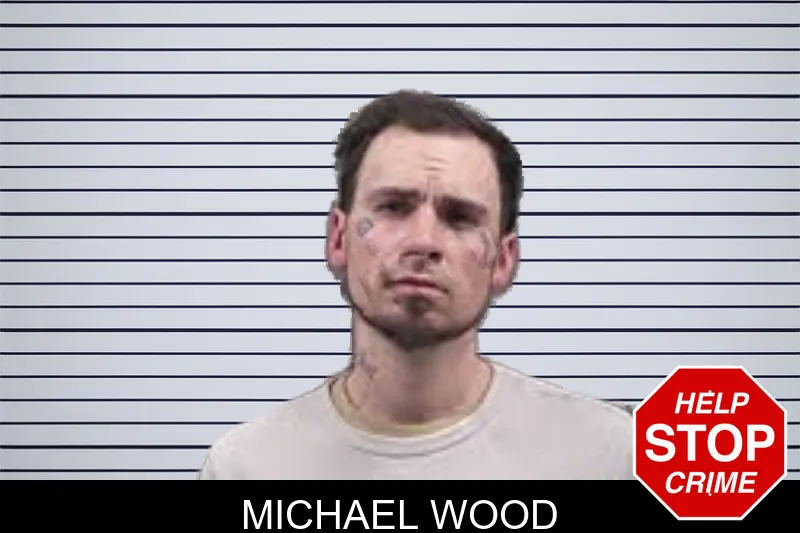 Michael Wood mugshot