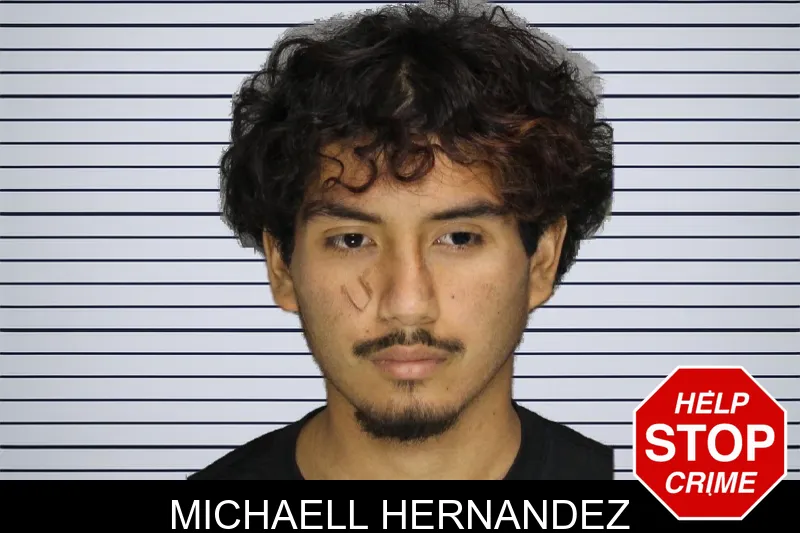 Michaell Hernandez mugshot