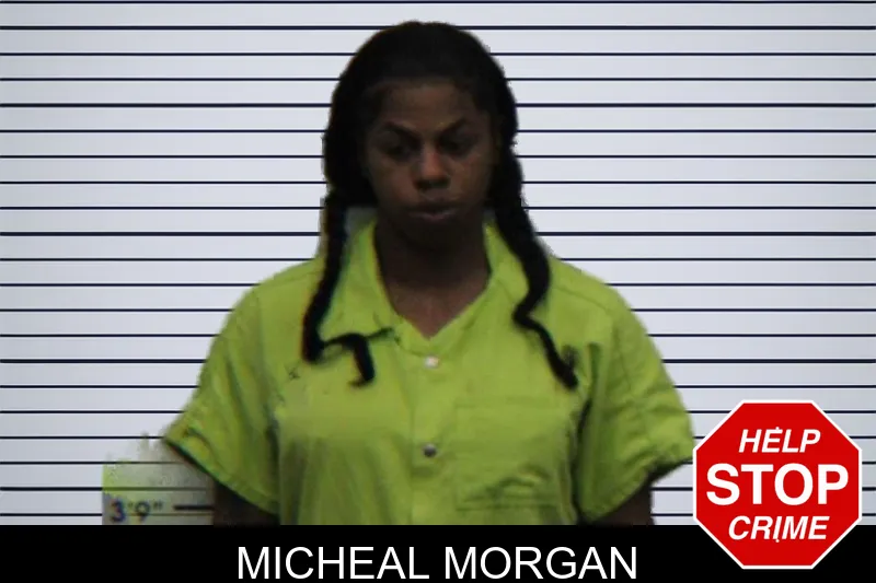 Micheal Morgan mugshot – Turner County , Georgia Micheal Morgan mugshot