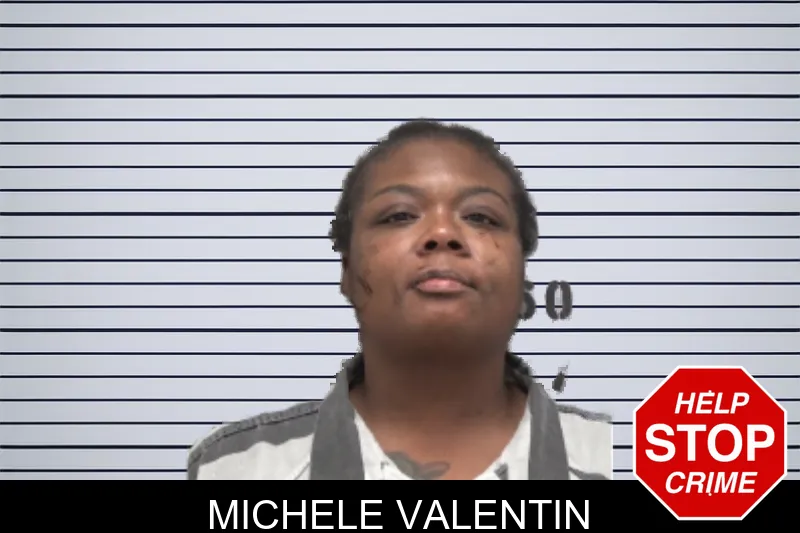 Michele Valentin mugshot