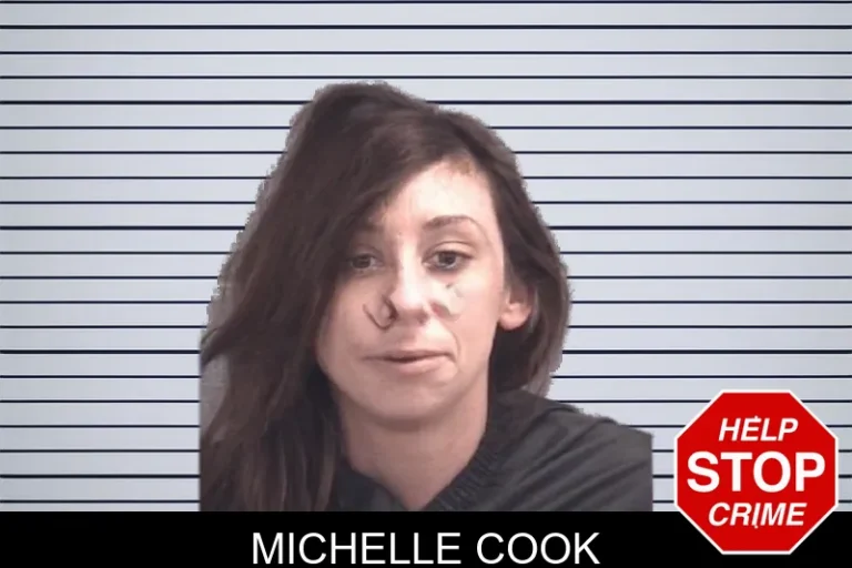 Michelle Cook mugshot – Spalding County , Georgia Michelle Cook