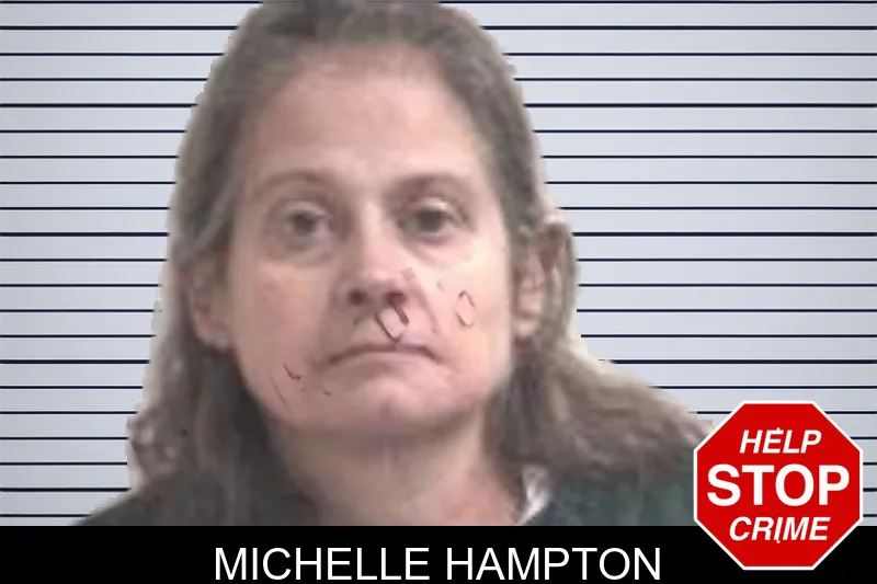 Michelle Hampton mugshot