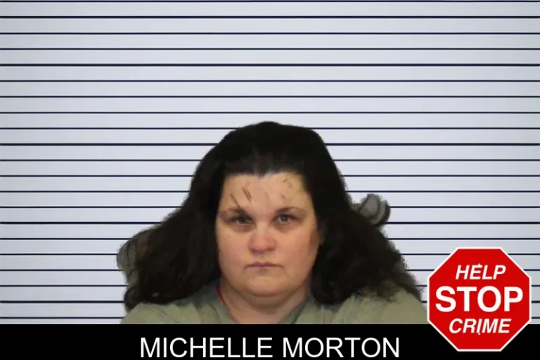 Michelle Morton mugshot – White County , Georgia Michelle Morton