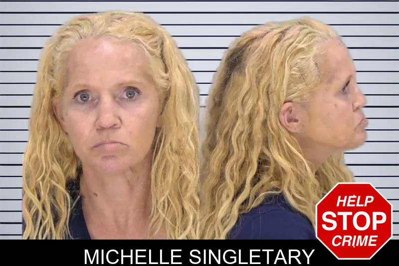 Michelle Singletary mugshot
