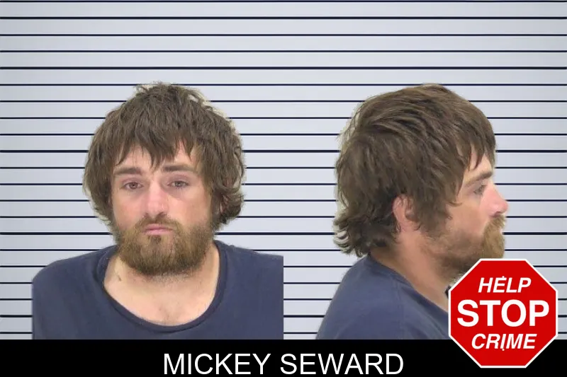 Mickey Seward mugshot