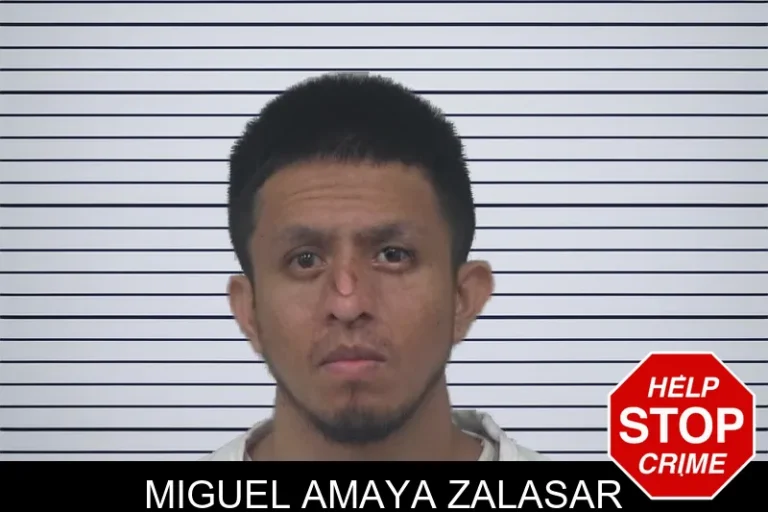 Miguel Amaya Zalasar