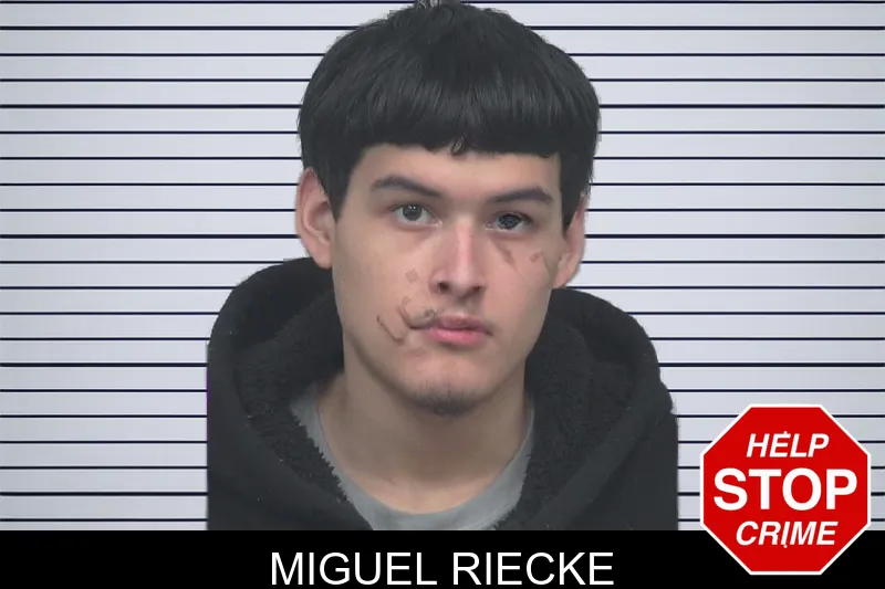 Miguel Riecke mugshot – Gwinnett County , Georgia Miguel Riecke mugshot