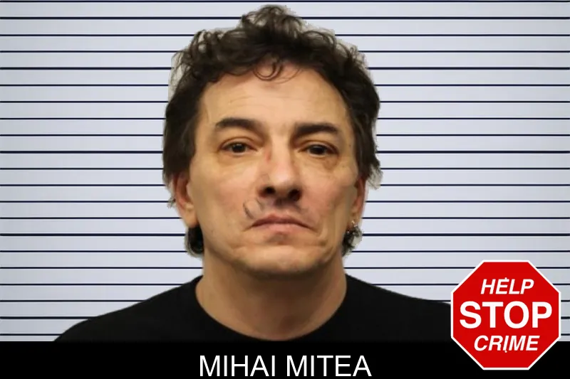 Mihai Mitea mugshot