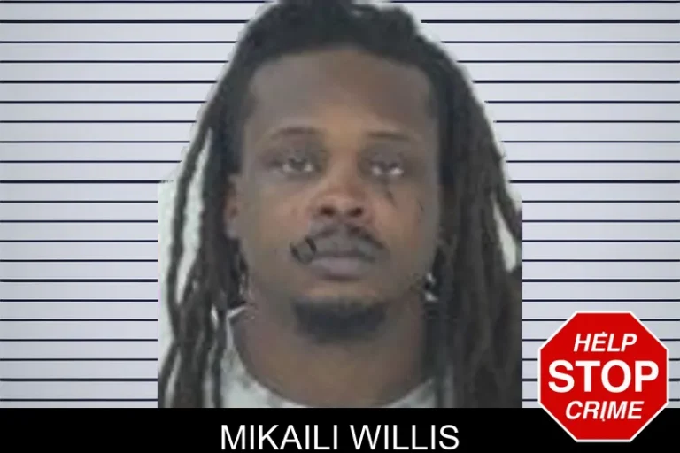 Mikaili Willis mugshot – Fayette County , Georgia Mikaili Willis