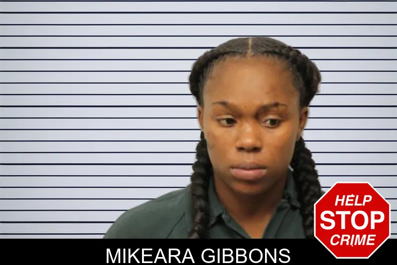 Mikeara Gibbons mugshot – Chatham County , Georgia Mikeara Gibbons mugshot