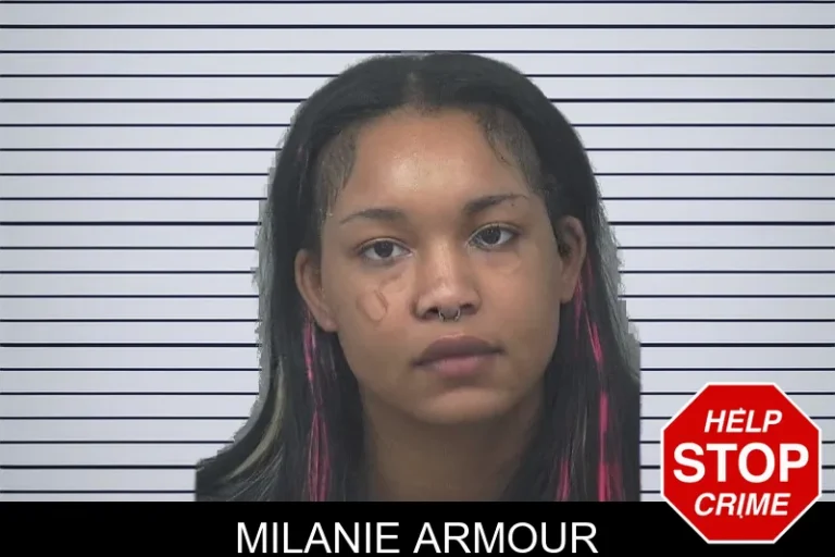 Milanie Armour mugshot – Gwinnett County , Georgia Milanie Armour