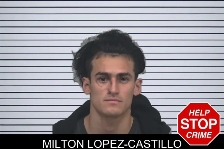 Milton Lopez-Castillo mugshot – Gwinnett County , Georgia Milton Lopez-Castillo