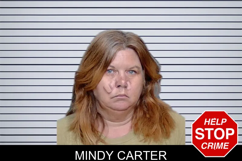 Mindy Carter mugshot – Glynn County , Georgia Mindy Carter mugshot