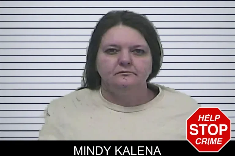 Mindy Kalena mugshot – Dawson County , Georgia Mindy Kalena