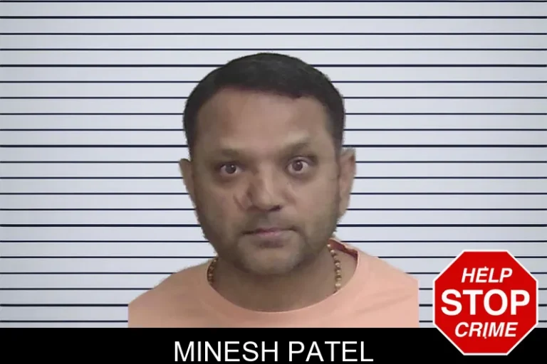 Minesh Patel mugshot – Wayne County , Georgia Minesh Patel
