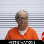 Mistie Watkins mugshot