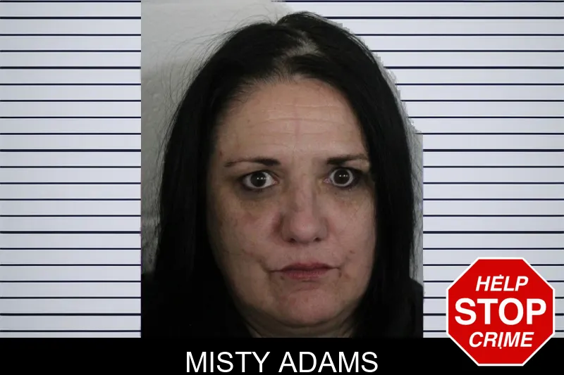 Misty Adams mugshot – Floyd County , Georgia Misty Adams mugshot