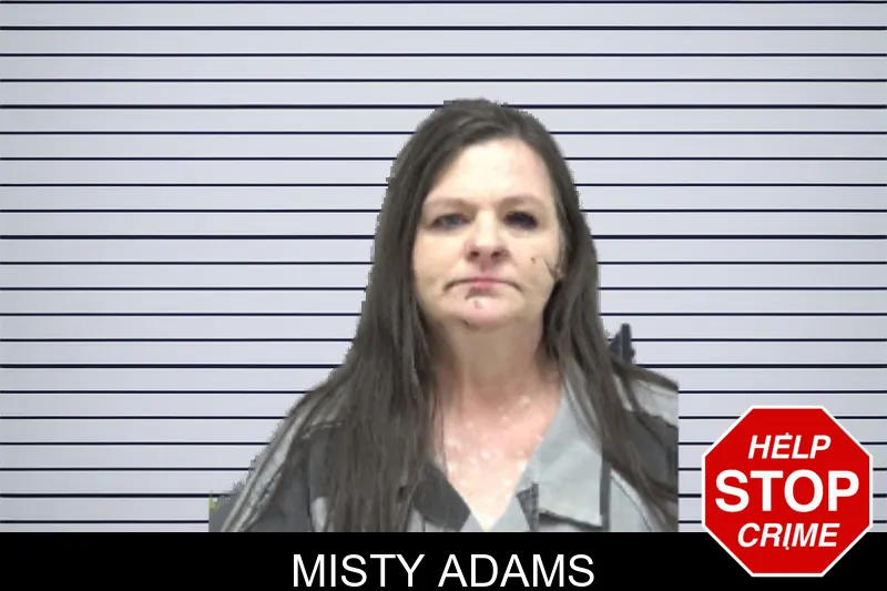 Misty Adams mugshot