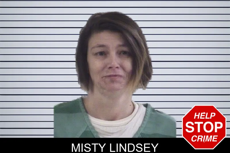 Misty Lindsey mugshot