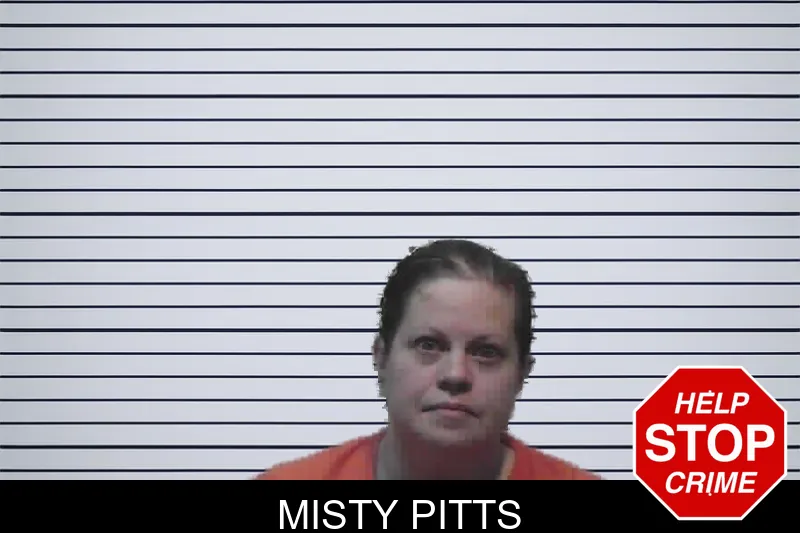 Misty Pitts mugshot