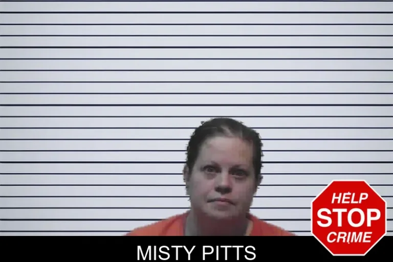 Misty Pitts mugshot – Meriwether County , Georgia Misty Pitts