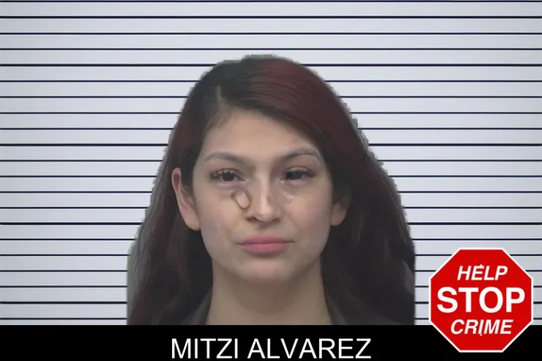 Mitzi Alvarez mugshot – Gwinnett County , Georgia Mitzi Alvarez