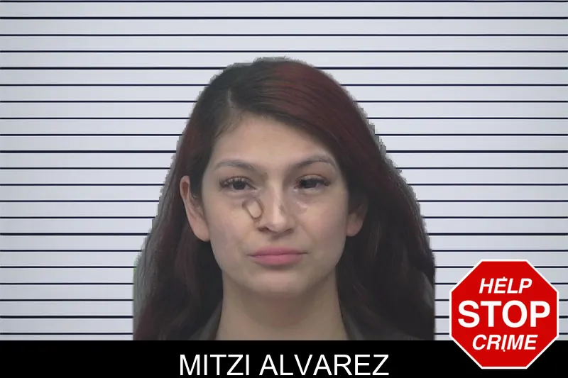 Mitzi Alvarez mugshot