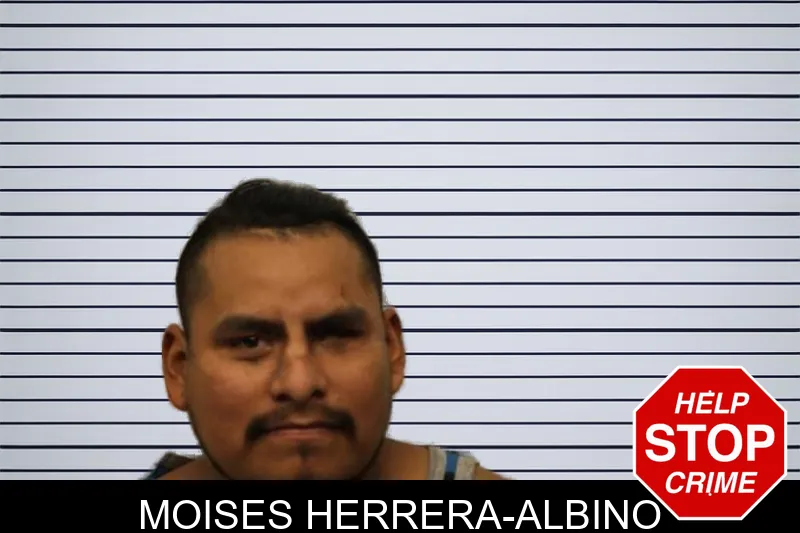 Moises Herrera-Albino mugshot