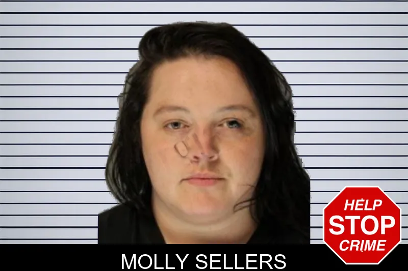 Molly Sellers mugshot – Hall County , Georgia Molly Sellers mugshot