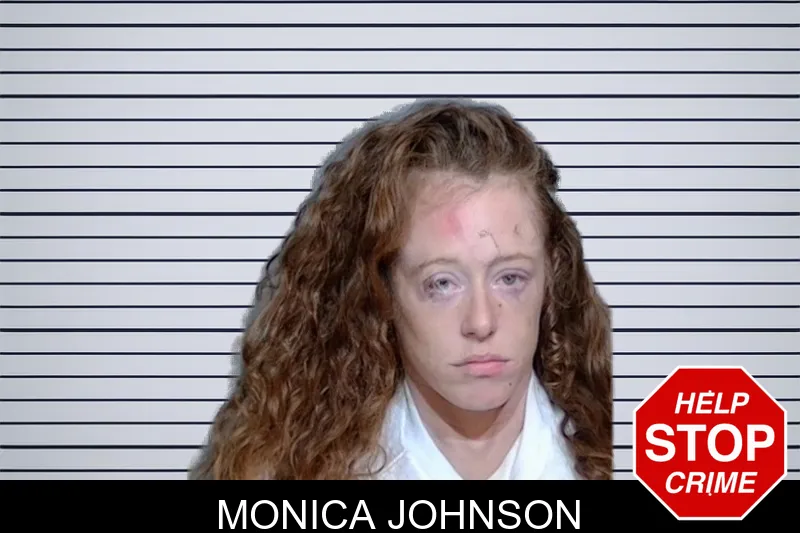 Monica Johnson mugshot