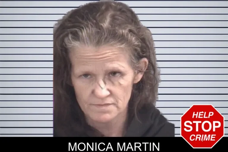 Monica Martin mugshot – Spalding County , Georgia Monica Martin