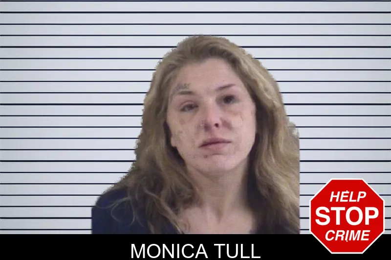 Monica Tull mugshot – Whitfield County , Georgia Monica Tull mugshot