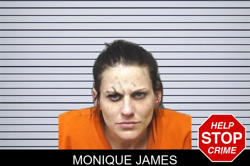 Monique James mugshot – Cherokee County , Georgia Monique James mugshot
