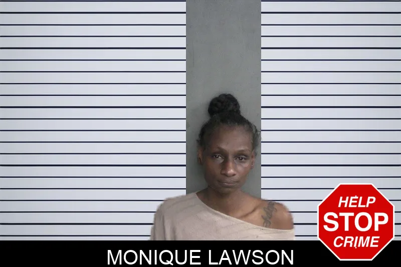 Monique Lawson mugshot