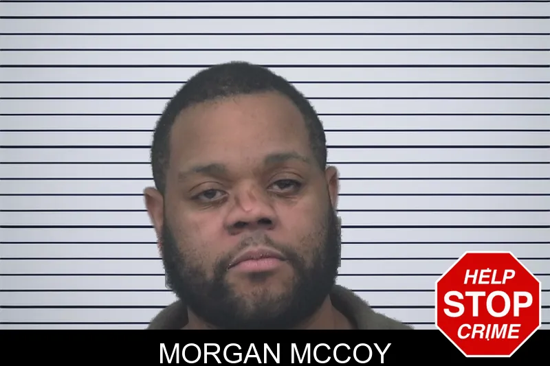 Morgan McCoy mugshot – Gwinnett County , Georgia Morgan McCoy mugshot