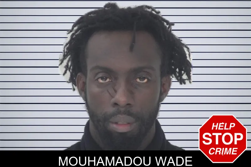 Mouhamadou Wade mugshot – Fayette County , Georgia Mouhamadou Wade mugshot