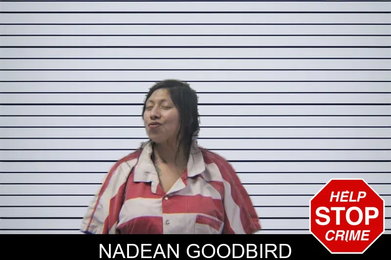 Nadean Goodbird mugshot