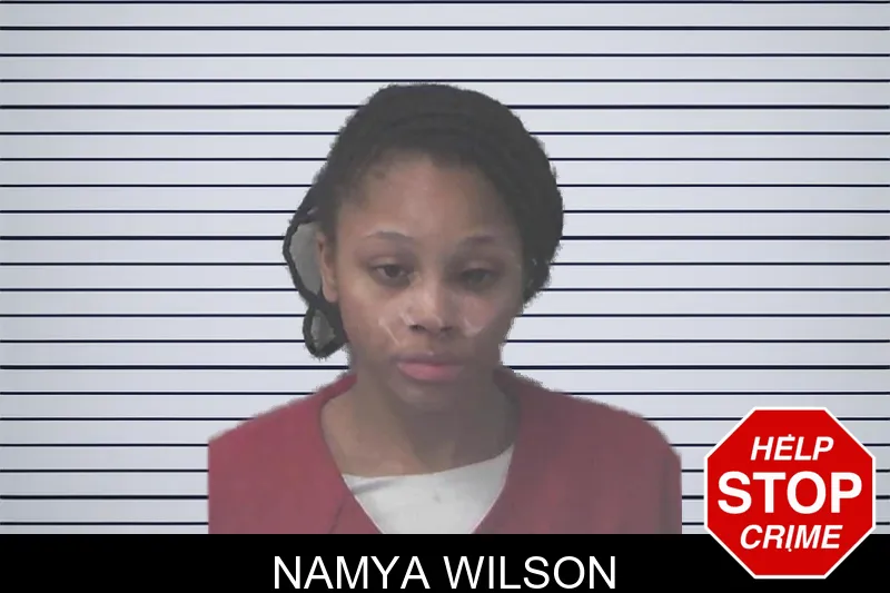 Namya Wilson mugshot
