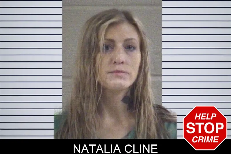 Natalia Cline mugshot