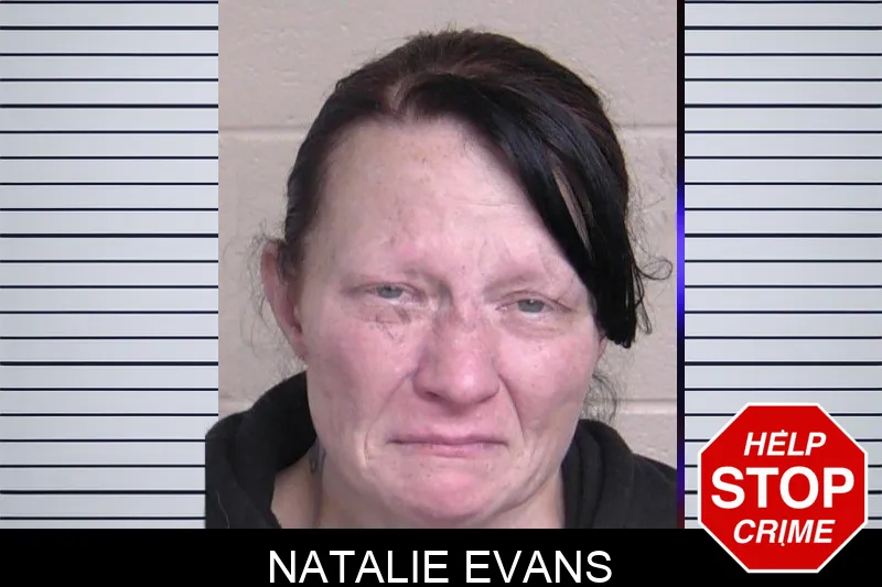 Natalie Evans mugshot – Walker County , Georgia Natalie Evans mugshot